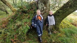 Backcountry Survival Camping in Primitive Shelters & Coastal Foraging (Scottish Highlands)
