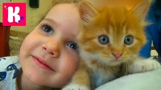 Кошка Мурка питомец Кати и Макса / VLOG / Покупаем все необходимое для кошек