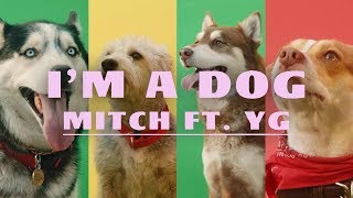 Mitch - I'm A Dog ft. YG (Official Music Video)