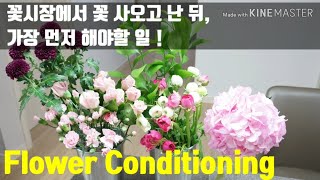 ?플라워 컨디셔닝? 꽃시장에서 꽃 사오고 난 뒤, 가장 먼저 해야할 일! flower conditioning tips