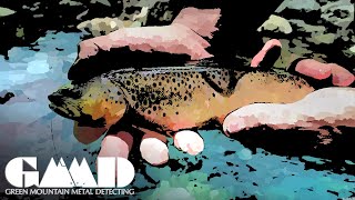 Wild Trout Catch and Cook | Vermont Wilderness Adventure