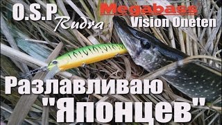 Ловля щуки на воблеры. Твичинг. O.S.P Rudra / Megabass Vision Oneten