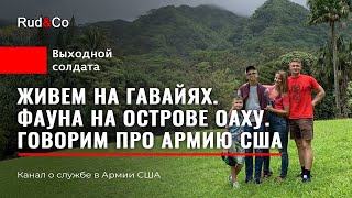 Как мы живем на ГАВАЙЯХ.Говорим про US Army. Пропаганда Госдепа. Rud&Co