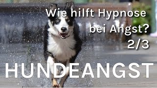 Hundeangst - Hypnose bei Angst (2/3) Die Angst vor Hunden.