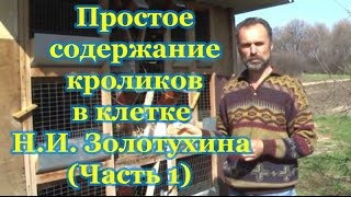 Простое содержание кроликов в клетке Н.И. Золотухина (Часть 1 из 3)
