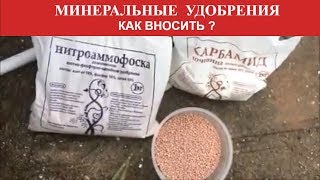 Как вносить МИНЕРАЛЬНЫЕ УДОБРЕНИЯ / Минеральные удобрения весной / Органическое земледелие на юге