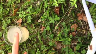Nettoyer un jardin - astuce désherbage