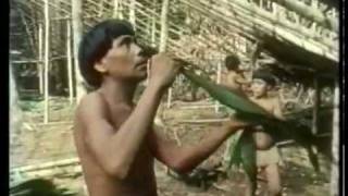 "Spirits Of The Rainforest" (3/7)
