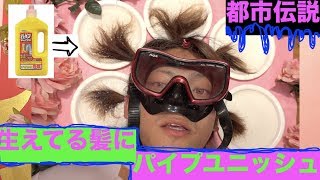 【都市伝説】生えた髪にパイプユニッシュすると死ぬの？？衝撃結果