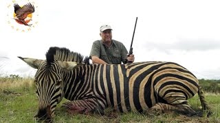 Nkwazi Safaris - Burchels Zebra - 300 Rem Ultra Mag