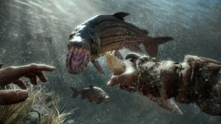 Far Cry Primal on Nvidia GTX 960, 24GB RAM, i7 3770 Full HD 1080p