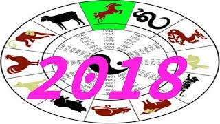 Восточный гороскоп на 2018 год для знака Лошадь
