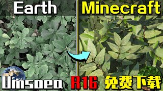 每月20美元的整合包！感叹Minecraft的画质比现实生活还要美！2019年超真实材质包！