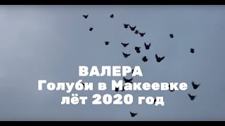 Николаевские Голуби, Макеевка 1.01.2020