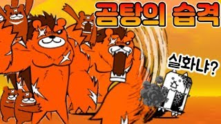무조건 넉백 시키는 곰세마리 등장! 스승과 제자 냥코 3단 진화 가즈아~ [냥코대전쟁]