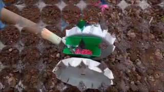 Сеялка для мелкосемянных культур СМК 1