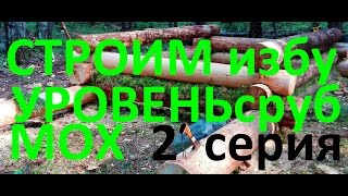 Строим избушку 2/Кладём сруб/рубим чашу/Мох сфагнум/Шкурим брёвна
