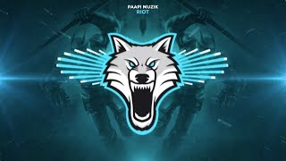 Paapi Muzik - Riot