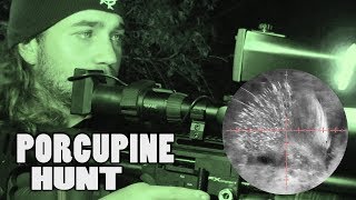 Porcupine Hunt with NIGHT VISION - Airgun Pest Control (Re-Upload)