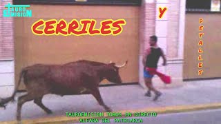 ALFARA DEL PATRIARCA #BullHd014 TAUROEMISION TOROSenDIRECTO, DIFERIDO Y VIDEOJUEGO ENLACE aquí ABAJO