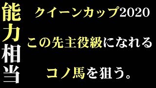 「クイーンカップ2020」出走予定馬・予想オッズ・人気馬見解