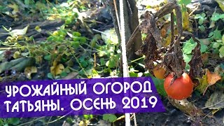 Урожайный огород Татьяны новое видео встречаем осень 2019