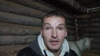 Про переезд в деревню, жизнь и прочее)