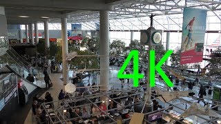 A 4K Tour of Charlotte Douglas International Airport (CLT)