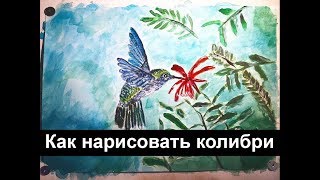 РИСУЕМ АКВАРЕЛЬЮ КОЛИБРИ: Как нарисовать птицу акварелью