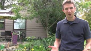 Garden Soil Testing - Follow These Steps Before Planting Your Garden