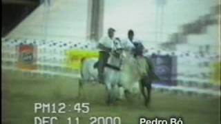 SILVER WILD - ROXÃO