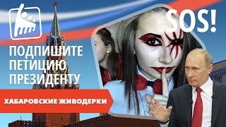 Петиция против Хабаровских живодерок
