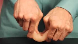 Телесный фаллоимитатор без мошонки X5 7 5 COCK WITH FLEXIBLE SPINE   19 см