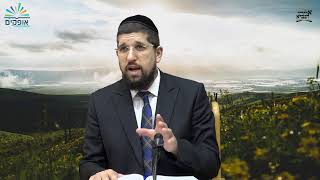 שידור חי יומי-HD-הרב אליהו עמר --ד מנחם אב תשע''ט