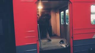 драка в поезде