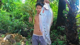 Primitive Technology: Cooking Big Fish Sour Soup For Free Energy Food | Wilderness Food