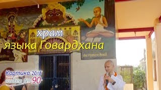 Храм языка Говардхана. Шри Радха Кунда. Сандхья-аватар д. Видео № 90. 2018.11.11