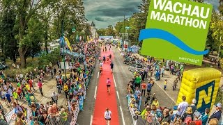 Австрия #72: Сказ о том, как простой украинский парень марафон бегал (Wachau Marathon)