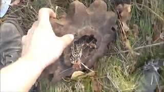 Коп металла. Наглядный совет новичкам. Копаем полтонны.