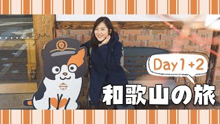 【5天和歌山之旅】Day1+2 貴志川線探望「貓貓站長」＋和歌山拉麵推介＋日本岩盤浴初體驗＋路過黑潮市場?