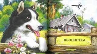 ВЫСКОЧКА.Михаил Пришвин аудио сказка: Аудиосказки-Сказки на ночь.Слушать сказки онлайн
