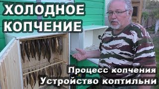 Холодное копчение рыбы. Процесс копчения и устройство коптильни.