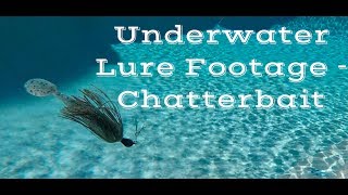 Underwater Lure Footage - Chatterbait