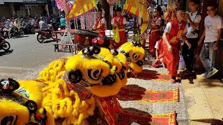 Múa Lân Sư Rồng - Đoàn Thắng Tứ Quý Lân Tết 2020 | Long Shi | Lion Dance Dragon Dance