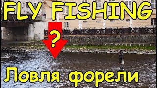 Czech Fly Fishing - Czech Krumlov - Рыбалка в Чехии - Нахлыст