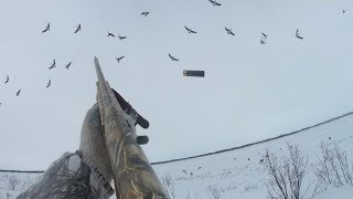 ОХОТА НА ГУСЯ 2019. ч.1 Крайний Север. НАО