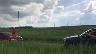 Персональная защитная собака-компаньон