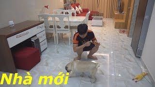 Nơi ở mới của tôi - Tiền Zombie v4