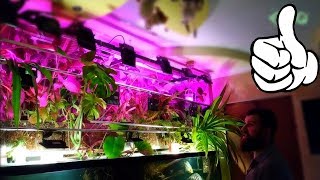 ПРОДВИНУТЫЙ АКВАРИУМ! ФИТОФИЛЬТР С КЛИМАТ КОНТРОЛЕМ! 2 ЧАСТЬ