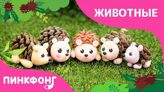 Ёжик из Пластилина | Животные | Ручные работы для детей | Пинкфонг Песни для Детей